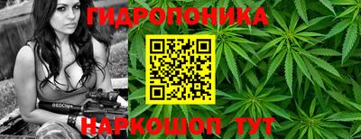 прущие грибы Бугуруслан