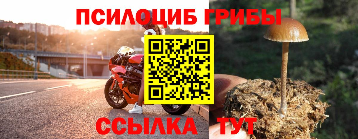 Псилоцибиновые грибы Magic Shrooms Узловая