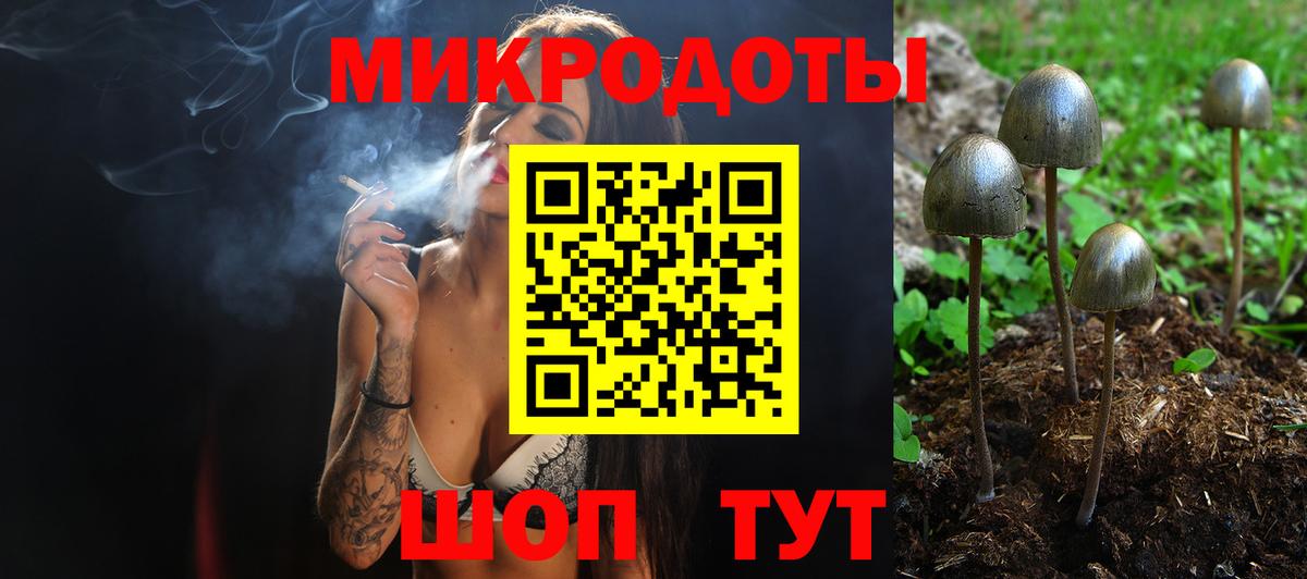 Узловая  Галлюциногенные грибы Cubensis  Галлюциногенные грибы Magic Shrooms  Вход с VPN 